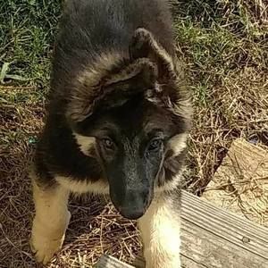 Meet your Posher, Jamie